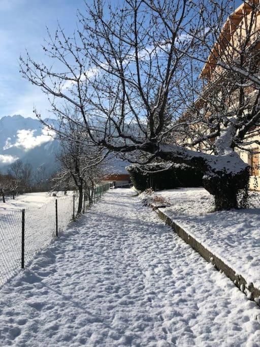 Appartement Rez De Jardin Montee De L'Alpe D'Huez La Garde  エクステリア 写真