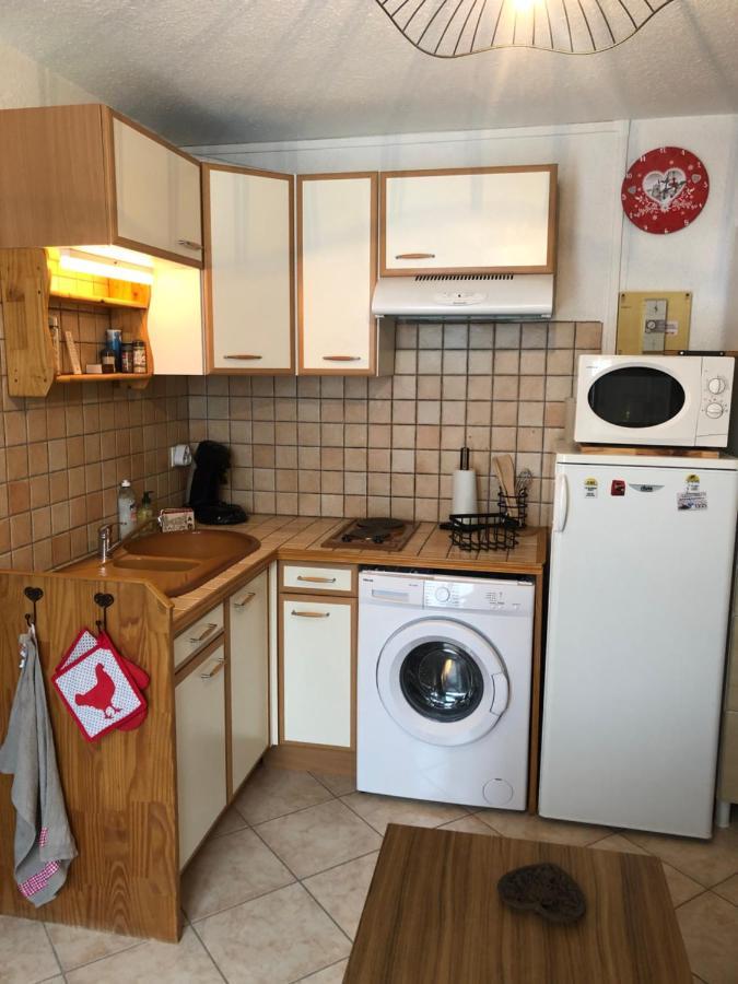 Appartement Rez De Jardin Montee De L'Alpe D'Huez La Garde  エクステリア 写真