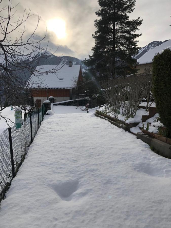Appartement Rez De Jardin Montee De L'Alpe D'Huez La Garde  エクステリア 写真