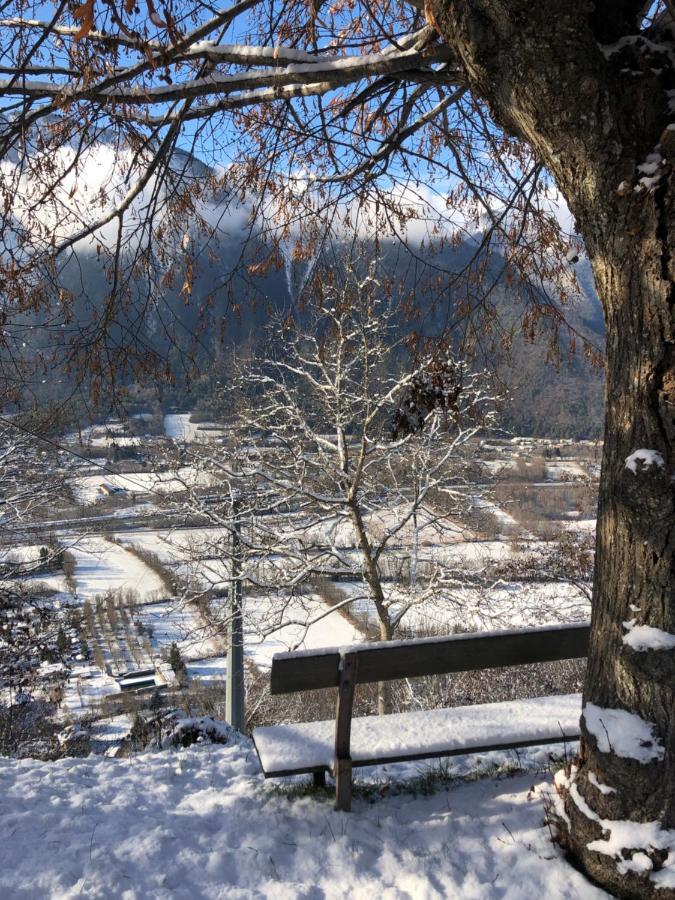 Appartement Rez De Jardin Montee De L'Alpe D'Huez La Garde  エクステリア 写真