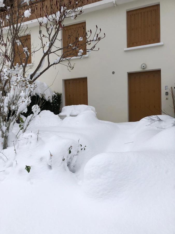 Appartement Rez De Jardin Montee De L'Alpe D'Huez La Garde  エクステリア 写真