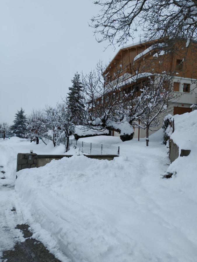 Appartement Rez De Jardin Montee De L'Alpe D'Huez La Garde  エクステリア 写真