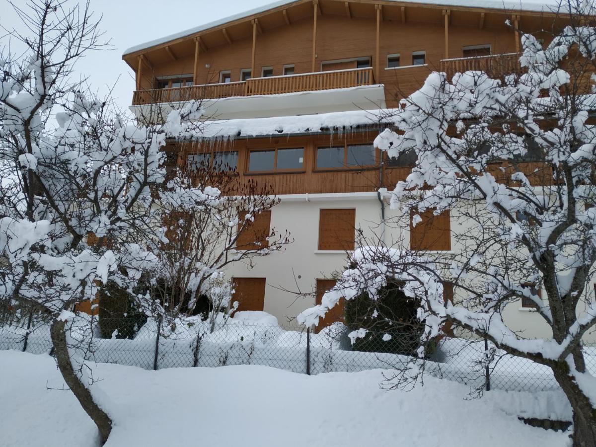 Appartement Rez De Jardin Montee De L'Alpe D'Huez La Garde  エクステリア 写真